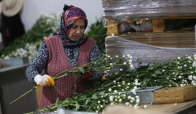 Çiçek ihracatında çeşitlilik arttı