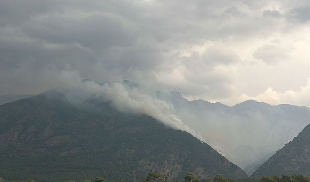 Hatay'da 2 farklı noktada çıkan orman yangınlarına müdahale ediliyor