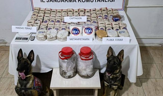 Hatay'da sazlık alana gizlenen çok miktarda uyuşturucuyu jandarma ekipleri buldu