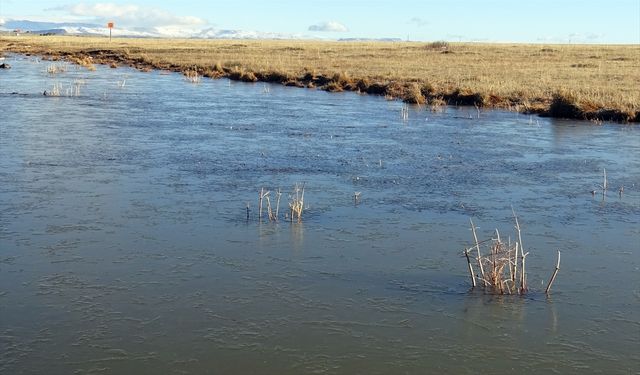 Kars'ta soğuk hava ve kırağı etkili oldu