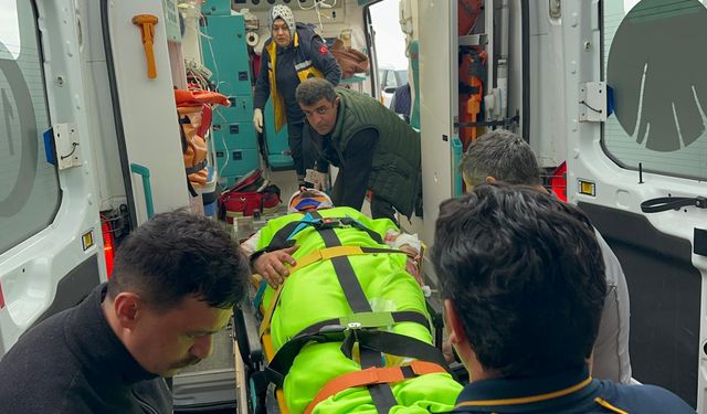 Kastamonu'da mantar toplarken ayı saldırısına uğrayan köy imamı yaralandı