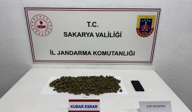Sakarya'da evde kenevir yetiştiren ve uyuşturucuyla yakalanan 2 şüpheli tutuklandı