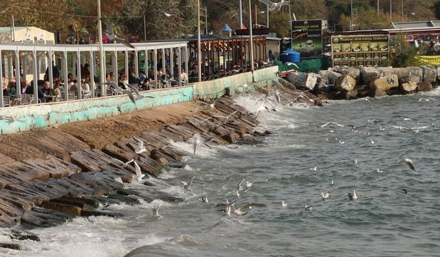 Tekirdağ'da balıkçılar lodos nedeniyle denize açılamadı