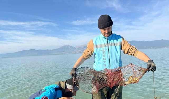 Eğirdir Gölü’nde 300 kaçak kerevit pinteri ele geçirildi