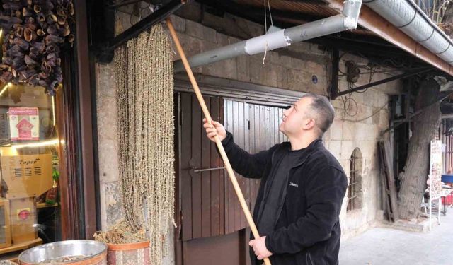 Gaziantep’te kışın vazgeçilmezi kuru bamya 2 bin TL’den tezgahta