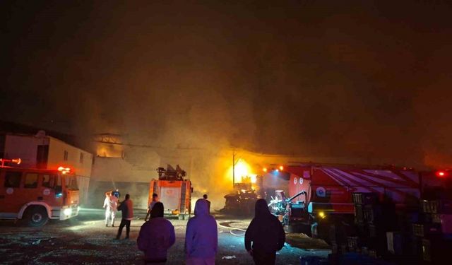 Meyve-sebze paketleme fabrikası yangınındaki hasar gün ağarınca ortaya çıktı