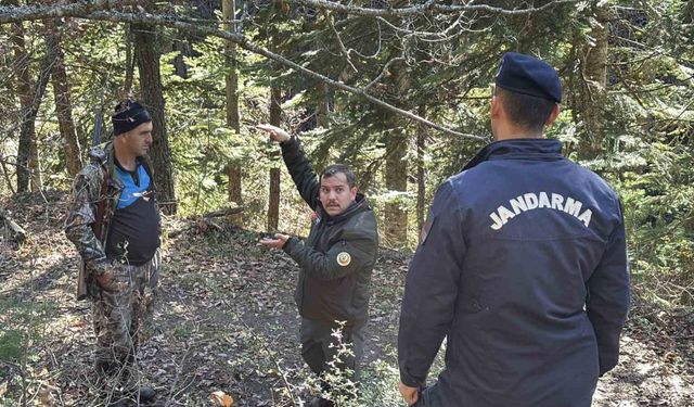 Ormanda kaybolan 88 yaşındaki adamdan acı haber: Dere yatağında cansız bedenine ulaşıldı