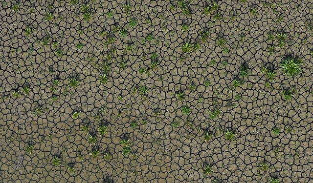 İzmir'deki içme suyu barajları kuraklık nedeniyle alarm veriyor