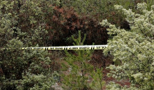 Karabük'te kayıp kişi ormanlık alanda ölü bulundu