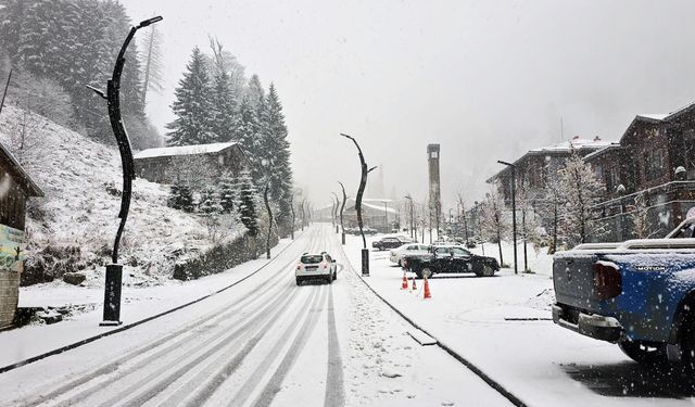 Rize ve Artvin'de kar etkili oldu