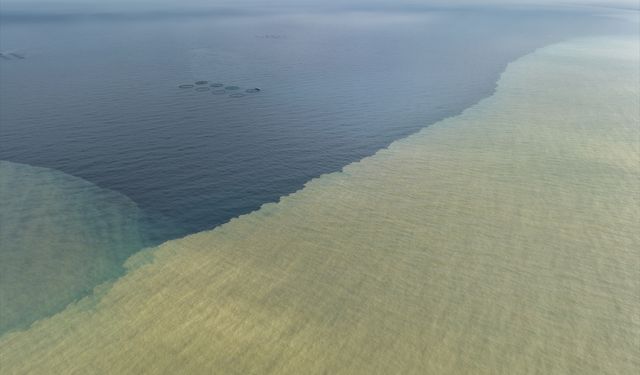 Samsun'da yağışın ardından denizin rengi kahverengiye döndü