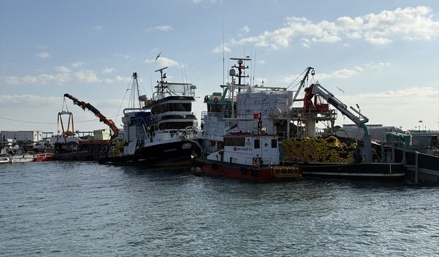 Tekirdağlı balıkçılar yeni yılda sardalya ve istavrit umuduyla ağ atacak