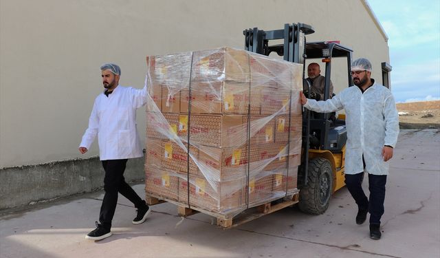 Vanlı arıcı Dubai'ye 16,5 ton petek bal gönderdi