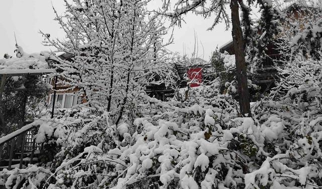 Adanalıların kar sevinci