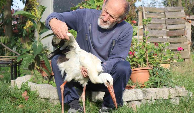 Annesinin yuvadan attığı leyleğe, mahalleli anne ve baba oldu