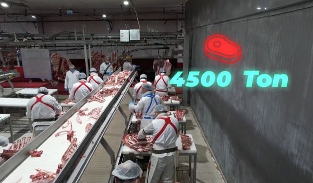 Bakan Yumaklı, "4 bin 500 ton kırmızı et üretimi ile Elazığ’ın ekonomik potansiyeline güçlü bir katkı sağlayacağız