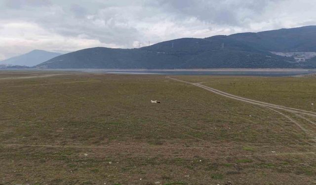 Bursa’da bir göl daha yok oluyor...