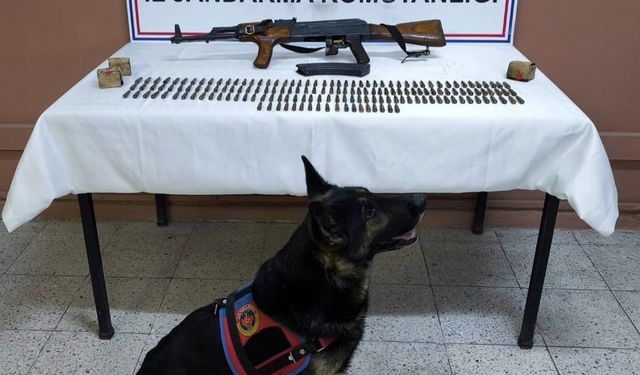 Iğdır’da silah kaçakçılığı operasyonu: Kalaşnikof tüfeği ve 264 fişek ele geçirildi