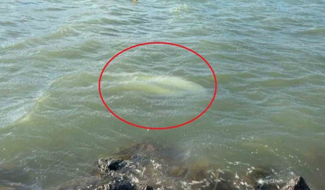 Karadeniz'de fırtına: Samsun'da 3 tekne battı