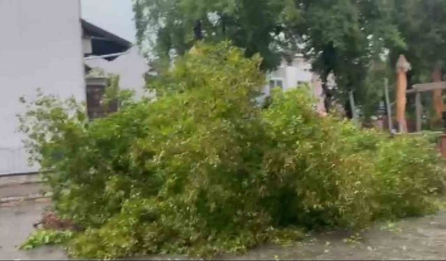 Marmaris’te sağanak etkili oldu