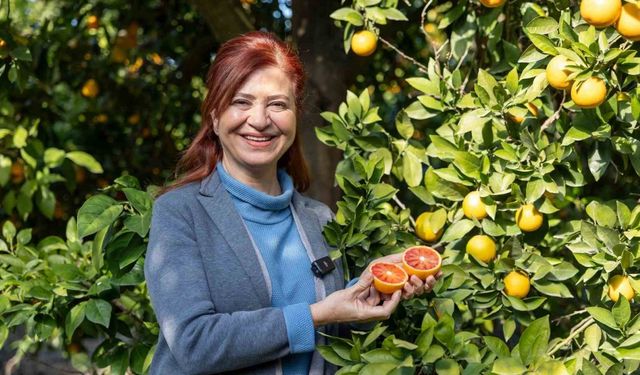 Mersin kan portakalında hedef AB tescili