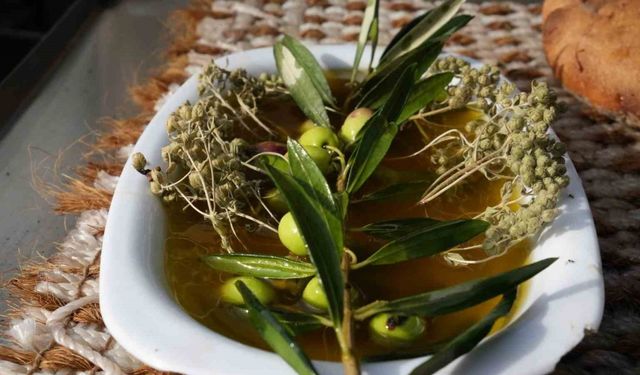 Oleolog Dr. Kıvrak: "Erken ve olgun hasat zeytinyağları farklı içeriklere sahiptir"