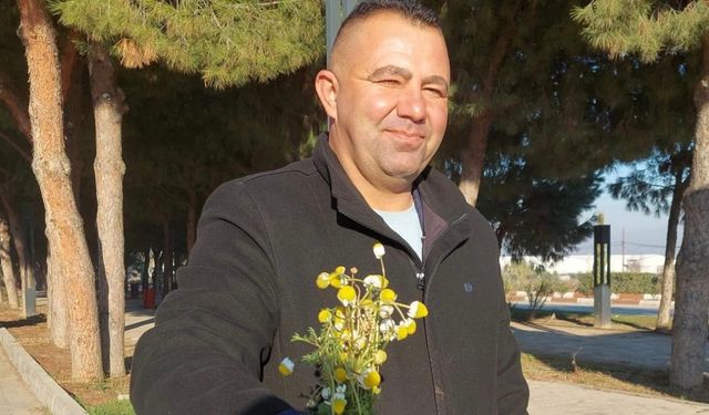 Sarıgöl’de zemheri papatyaları açtı