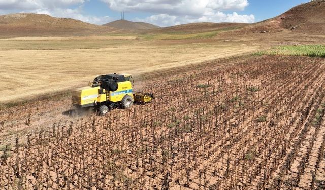 Tarımsal girdi fiyatları yıllık yüzde 33,66 arttı