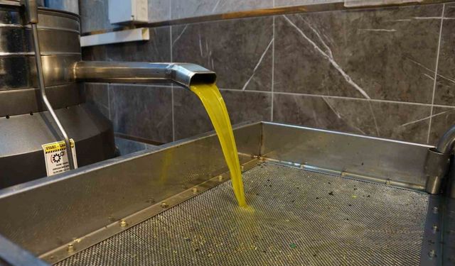 Zeytinyağı fiyatları belli oldu, fiyatlarda artış yaşandı