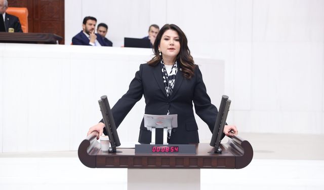 MHP'li Pelin Yılık: Herkes eşit ve kaliteli sağlık hizmetine erişmeli