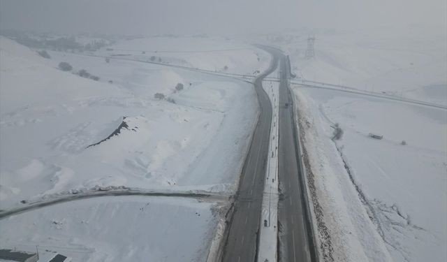 Doğu Anadolu'da sulak alanlar dondu, bitki ve ağaçları kırağı kapladı