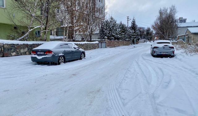 Doğu Anadolu'daki 4 ilde 1225 yerleşim yerine ulaşım sağlanamıyor