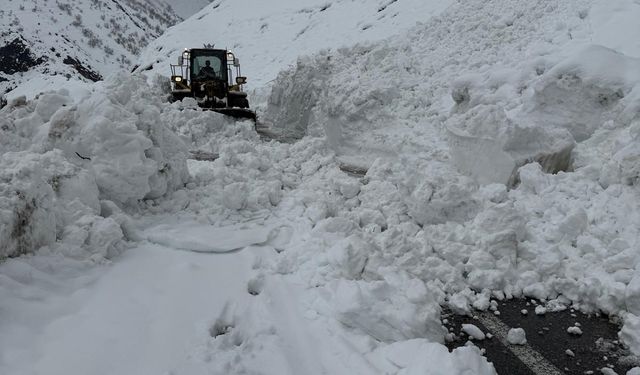 Hakkari-Şırnak kara yoluna düşen çığlar temizlendi