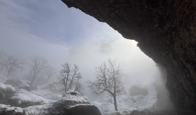 Hakkari'de soğuk hava ve sis etkili oldu