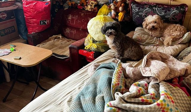 Kocaeli'de bir evde kötü koşullarda tutulan 55 hayvan koruma altına alındı