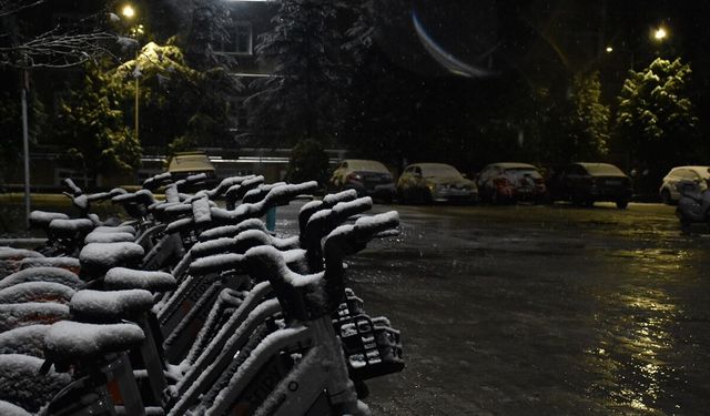 Sakarya'da kar yağışı etkili oluyor