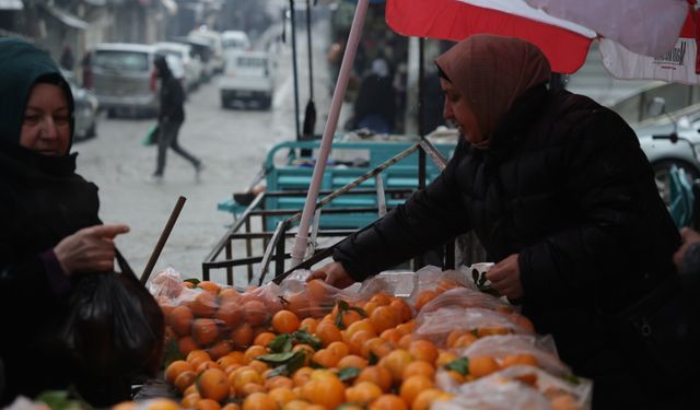 Suriye'nin Halep kentinde terör örgütü YPG/SDG'den kurtarılan mahallelerde hayat normale dönüyor