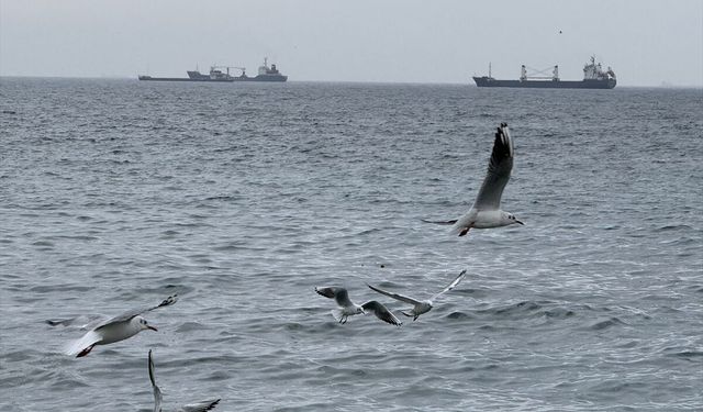 Tekirdağ'da lodos deniz ulaşımını olumsuz etkiliyor