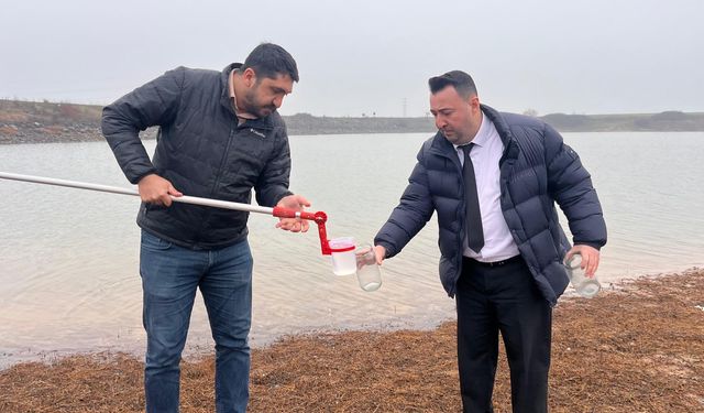 Tekirdağ'da su seviyesi düşen göletteki balıklar öldü