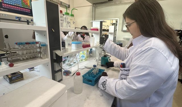 Türk bilim insanları kutuplardaki bazı canlıların dışkı örneklerinden bölgenin kirliliğini belirleyecek