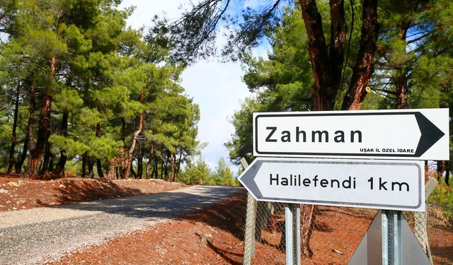 Türkiye'de köy sayısı 18 bin 215 olarak kayıtlara geçti