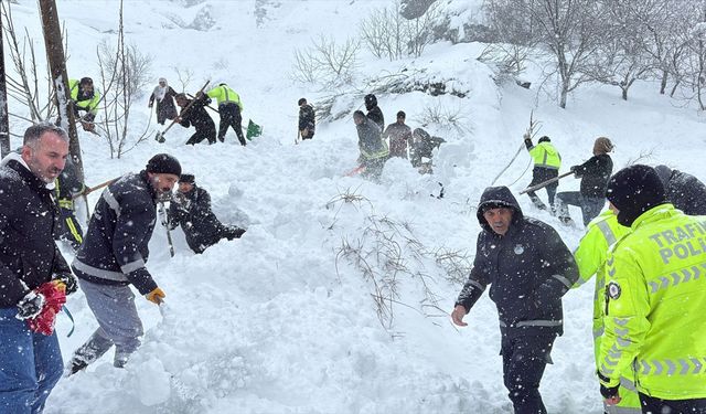 Van'da düşen çığın altında kalan kadın için arama çalışmaları başlatıldı