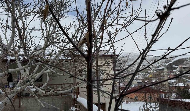 52 yılın en kurak zamanını geçiren çiftçi yağışlarla sevindi: İkinci üründe su sıkıntısı yaşanmayacak