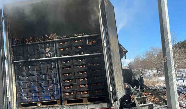Adana-Pozantı Otoyolu'nda narenciye yüklü tır alevlere teslim oldu