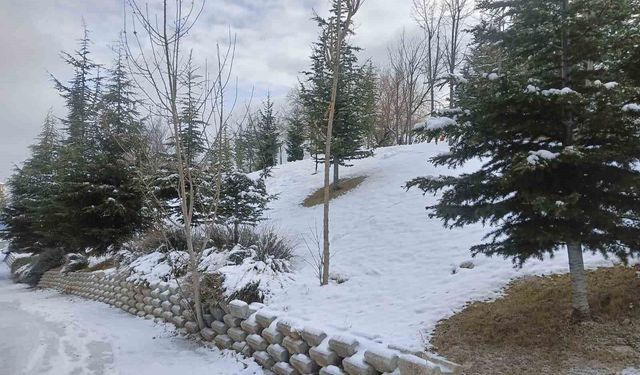 Ankara'da kar yağışı etkili oldu