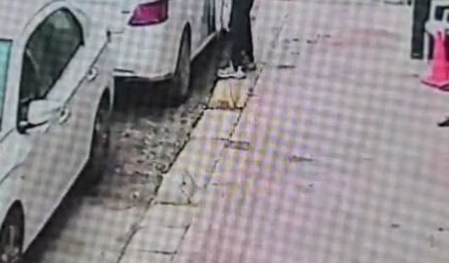 Araç faresi yakalandı