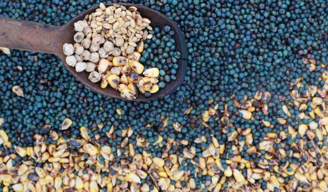 Asırlardır yaşatılan lezzet: Kavut unu sofralardan kültüre uzanan bir miras