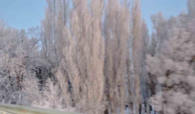 Aşkale'de Sibirya soğukları: Termometreler -30'u gösterdi