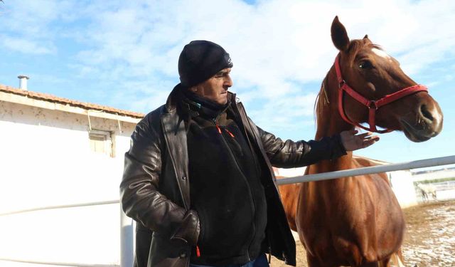 At yetiştiriciliğinin kış zorlukları