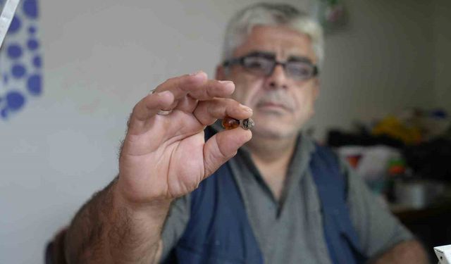 Bayburtlu kehribar ustası işlediği taşta milyonlarca yıllık böcek fosili buldu